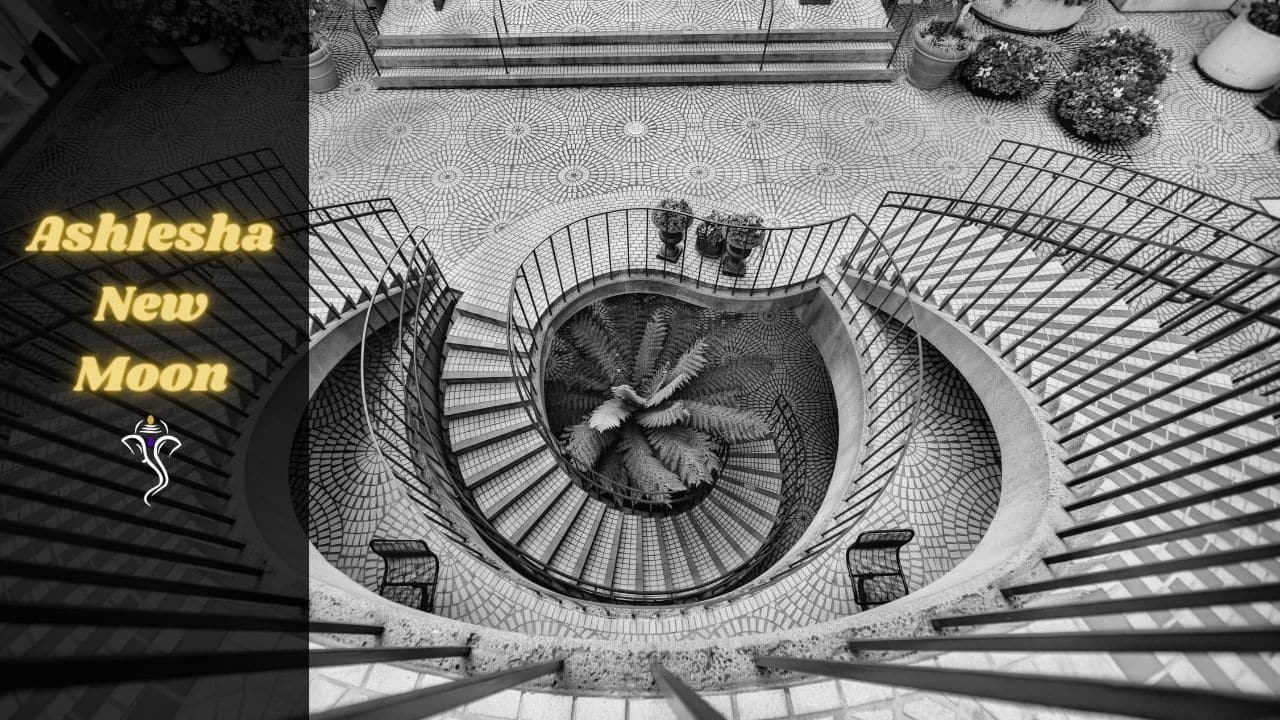 Ashlesha New Moon