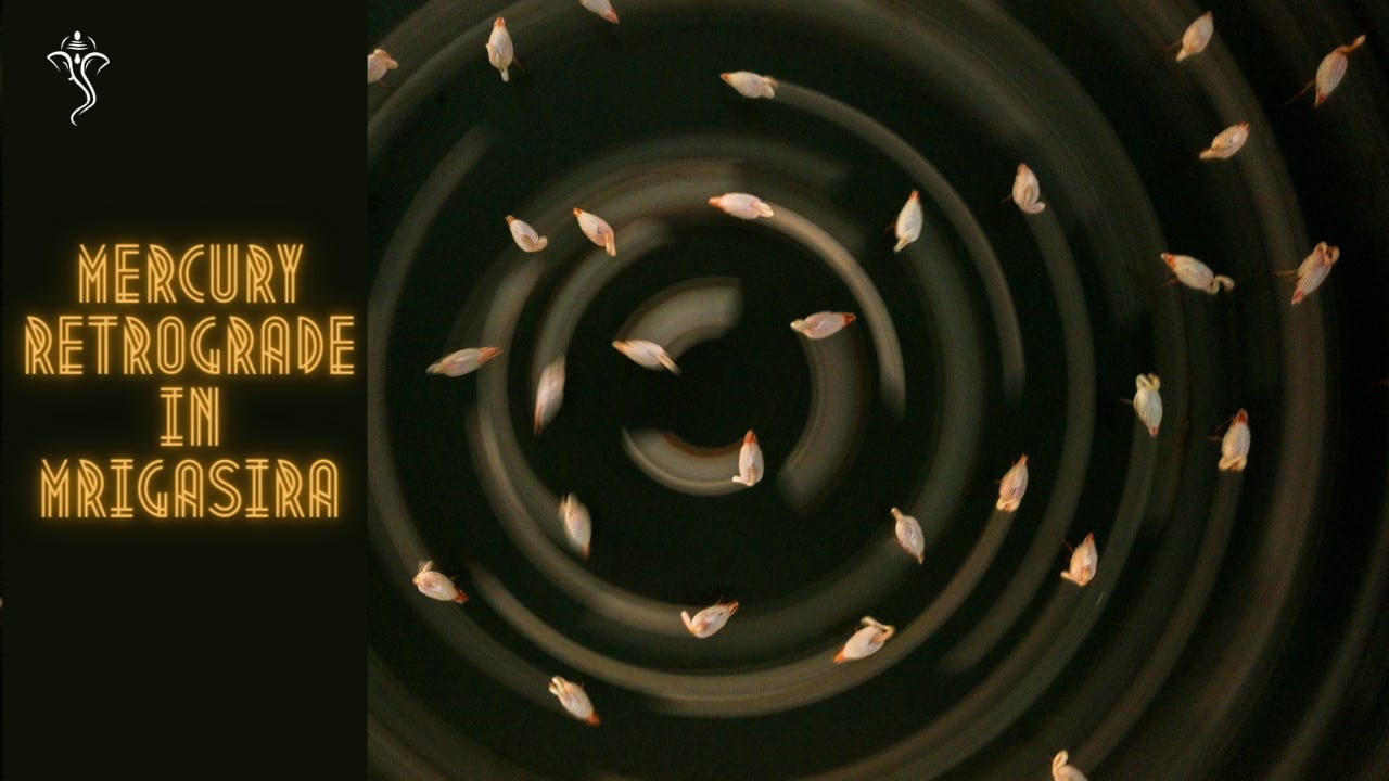 Mercury Retrograde in Mrigasira