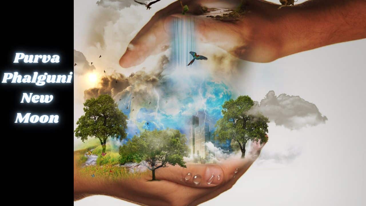 Purva Phalguni