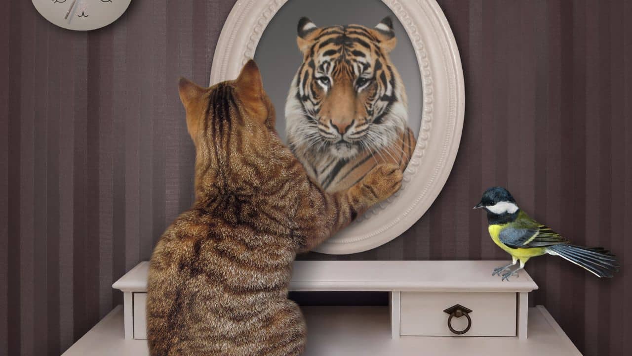 Shatabhishak New Moon