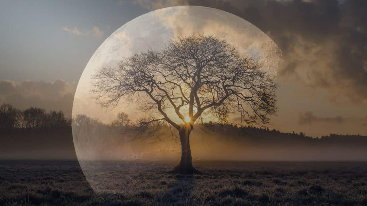 Full Moon in Punarvasu