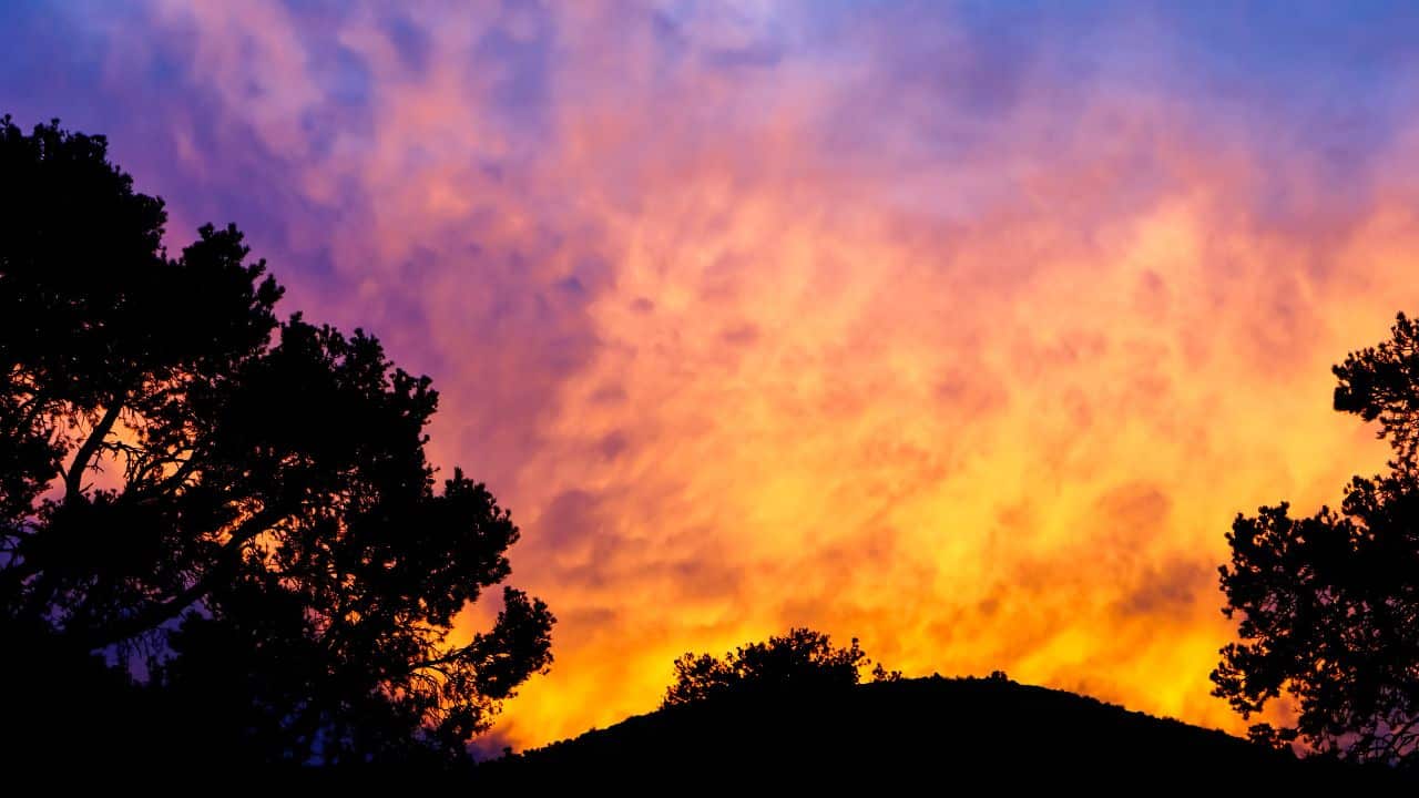 Full Moon in Dhanishtha