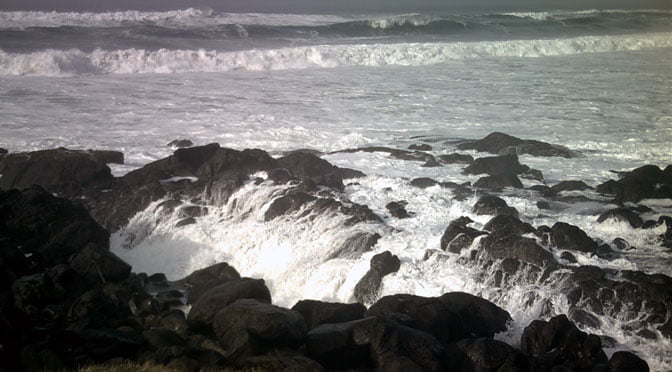 Apas by Michael Reed