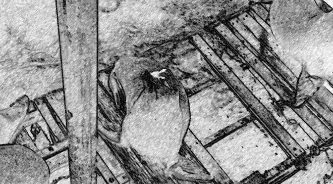 Aspiration by Michael Reed