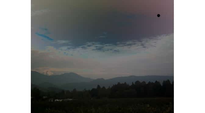 Dark of the Moon by Michael Reed