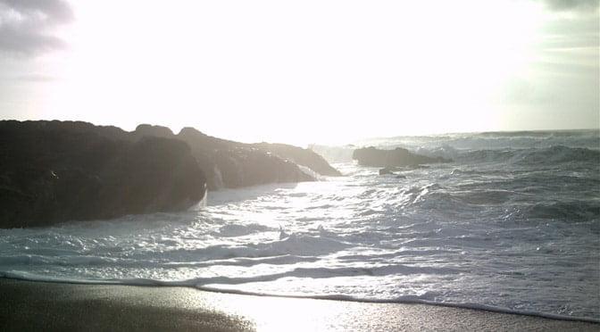 Brilliance by Michael Reed