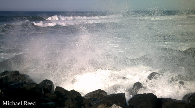 Facing the Tide by Michael Reed