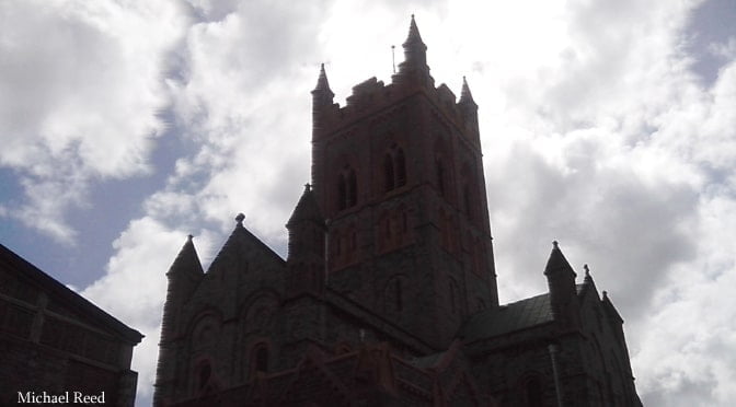 Firmness and Fluidity by Michael Reed