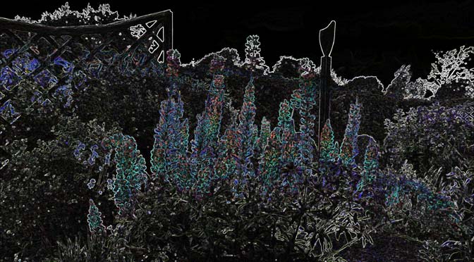 The Glow of Enthusiasm by Michael Reed