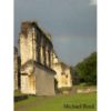 Hope Amongst the Ruins by Michael Reed