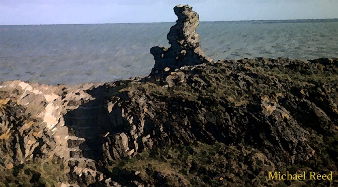 The Lonely Sentinel by Michael Reed