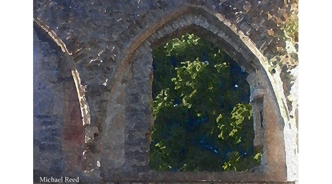 A Natural Opportunity by Michael Reed