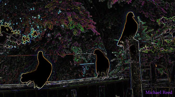 Silhouettes by Michael Reed