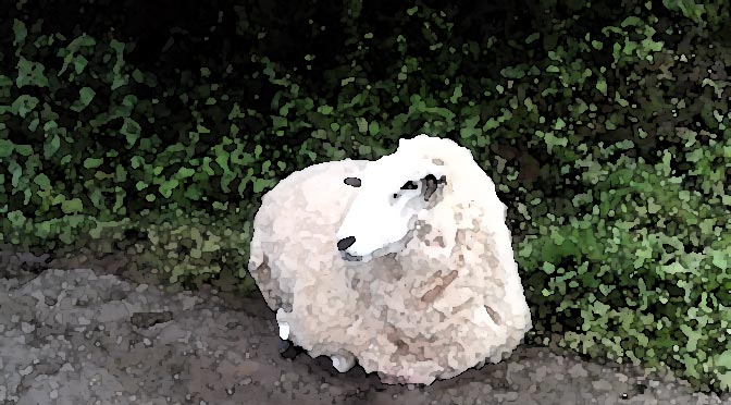 Solid by Michael Reed