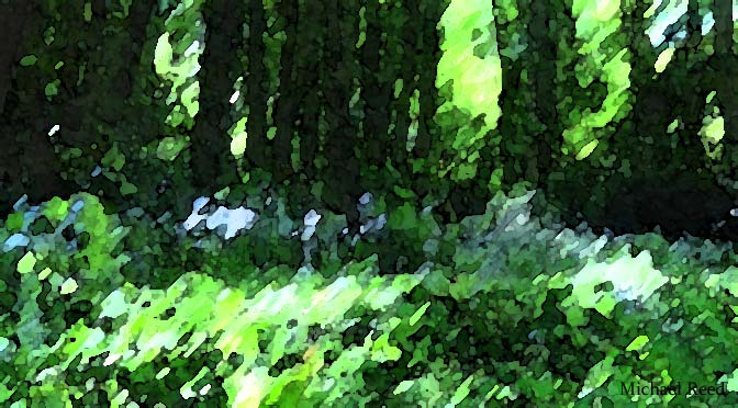 Step Back and Enjoy by Michael Reed