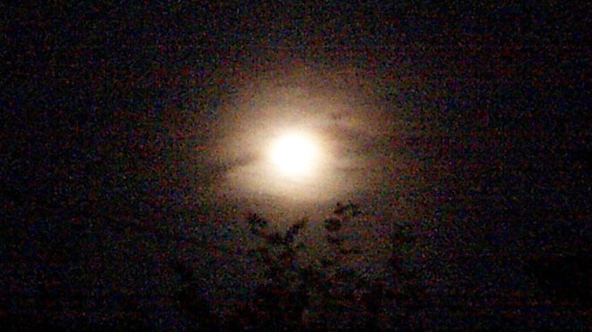 How High the Moon? Photo by Honey Maya