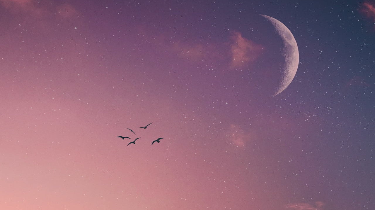 Learn the Lunar Mansions Module 3 – The Sattvic (True Essence) Nakshatras