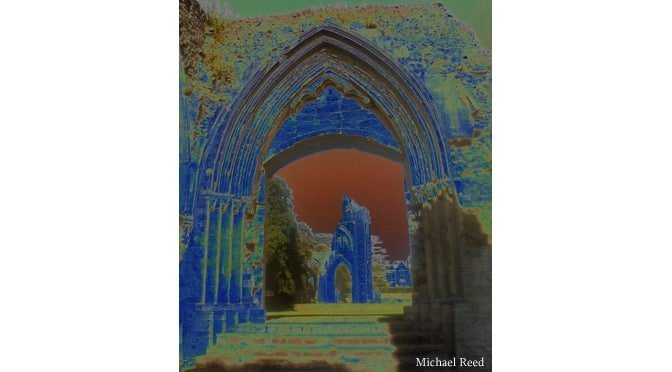 The Vague and Vanishing by Michael Reed