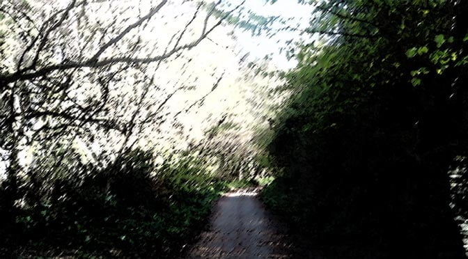 Vague by Michael Reed