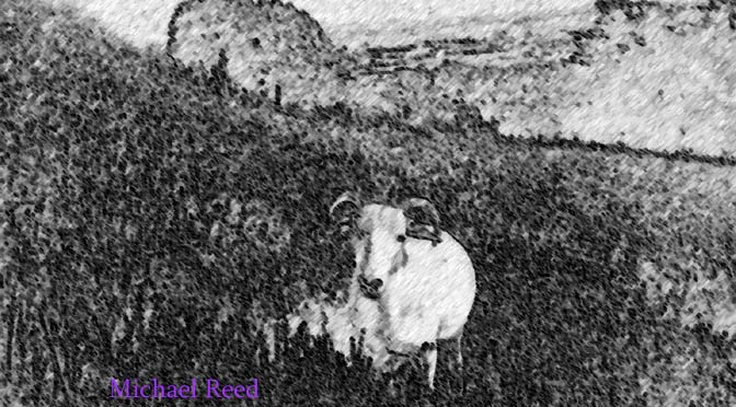 The Valiant by Michael Reed