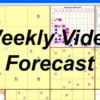 Weekly Video Forecast